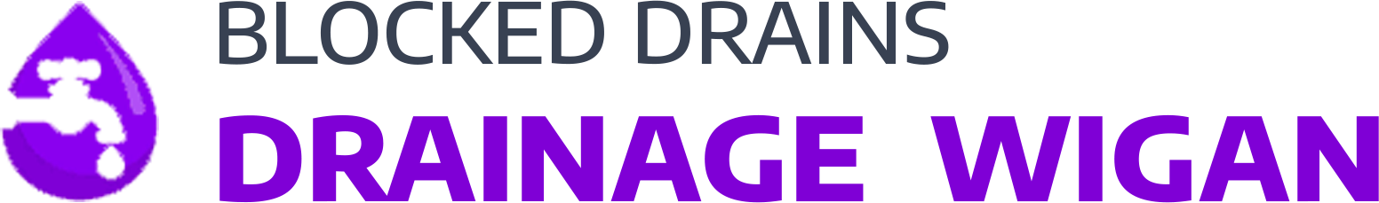 website logo